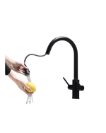 Kitchen Faucet 2 Handle