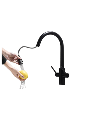 Kitchen Faucet 2 Handle